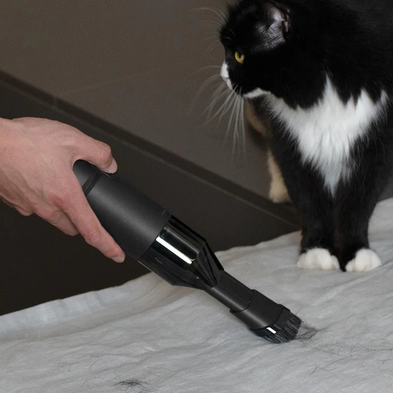 HOTO Handlicher Multifunktions-Staubsauger - Image 4